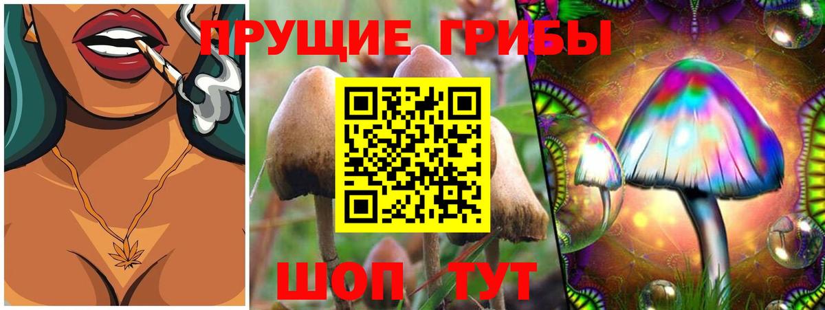 Псилоцибиновые грибы Magic Shrooms Урай